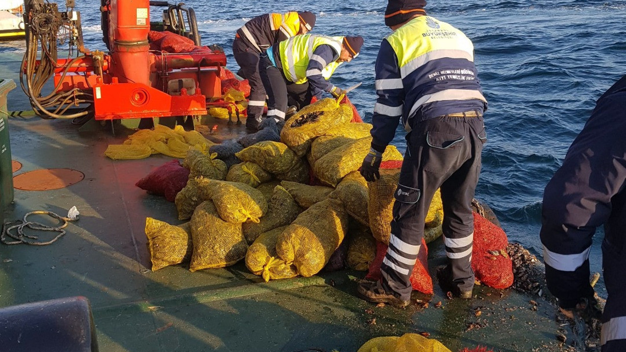 İstanbul'da kaçak avlanan 5 ton midye ele geçirildi