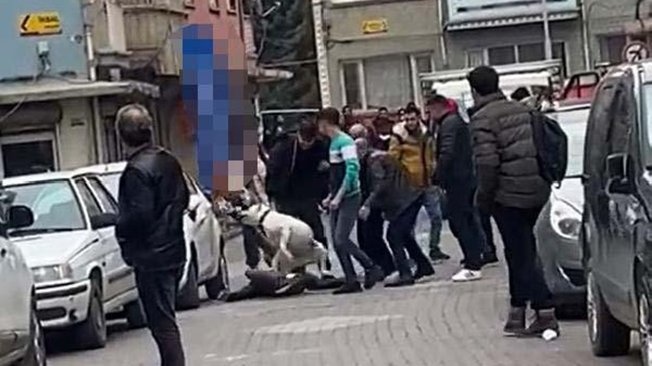 Kavgada pitbull'u silah olarak kullandılar: 3 yaralı