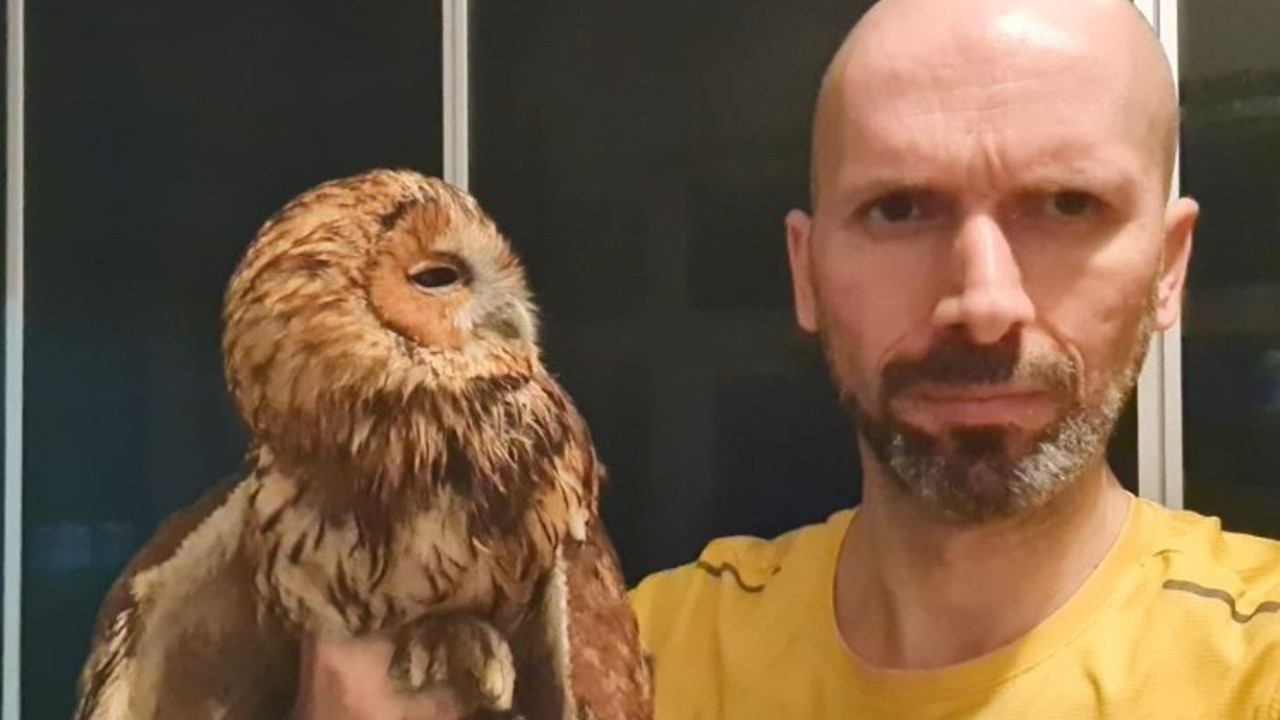 Evinin penceresinden içeri girdi. Büyük şok yaşadı