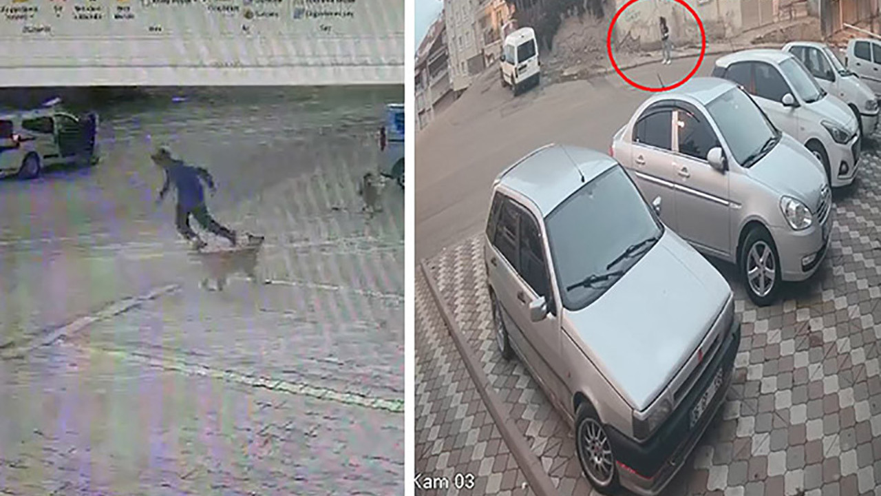 Aynı mahallede 2 köpek saldırısı daha; 2 yaralı