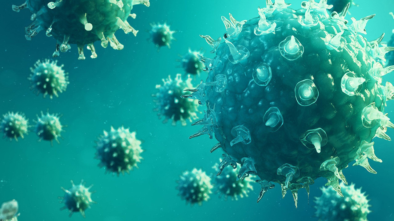 Koronada 20 dakika detayı! Bir gizem daha çözüldü…