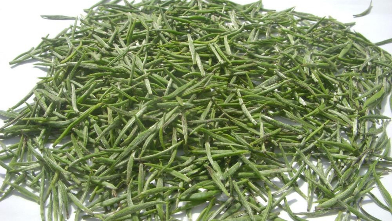 Beyaz iksir yanıkları, yaraları ve ciltteki kırışıklığı yok ediyor