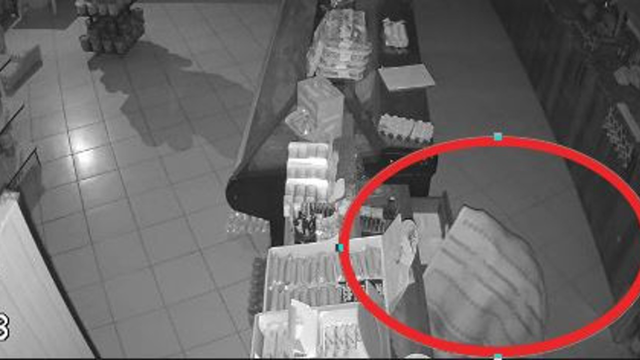 Battaniyeli hırsız yakayı ele verdi