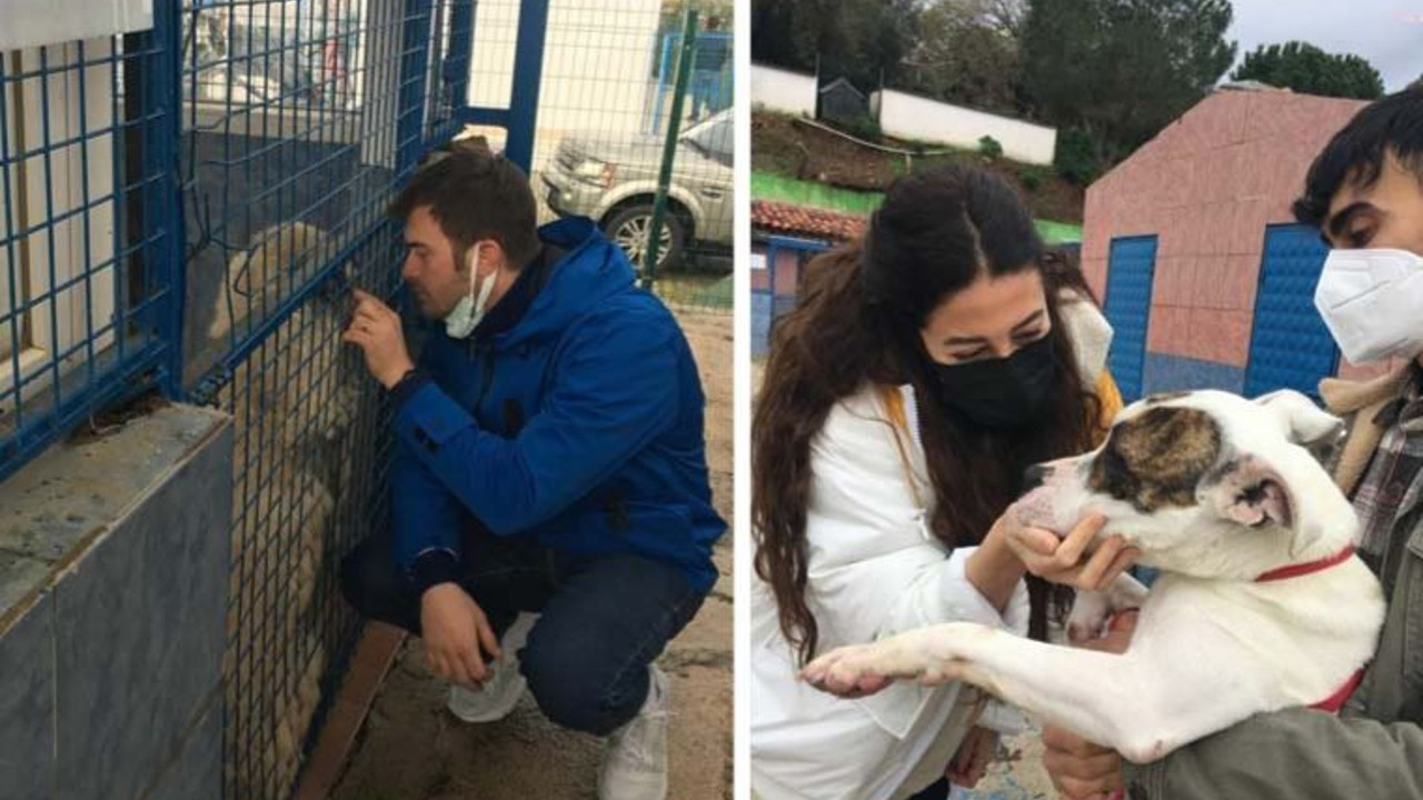 Kıvanç Tatlıtuğ’dan anlamlı destek: Satın alma sahiplen