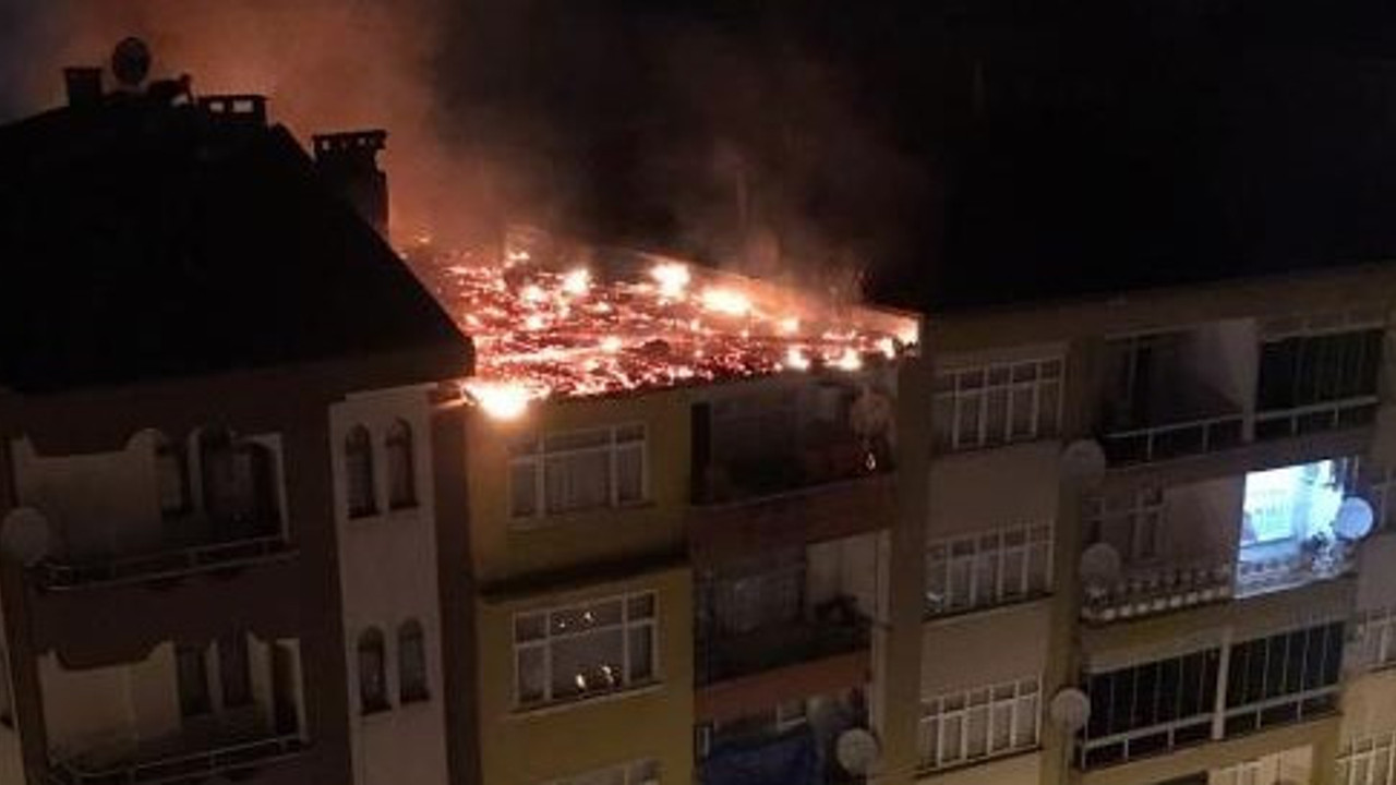 Korna sesleri hayatlarını kurtardı