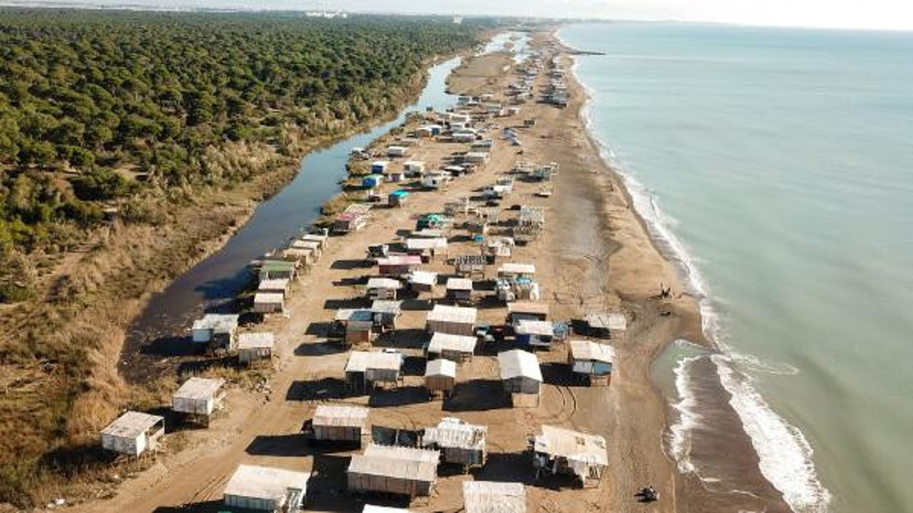 Caretta carettaların bu yıl keyfi yerinde olacak.