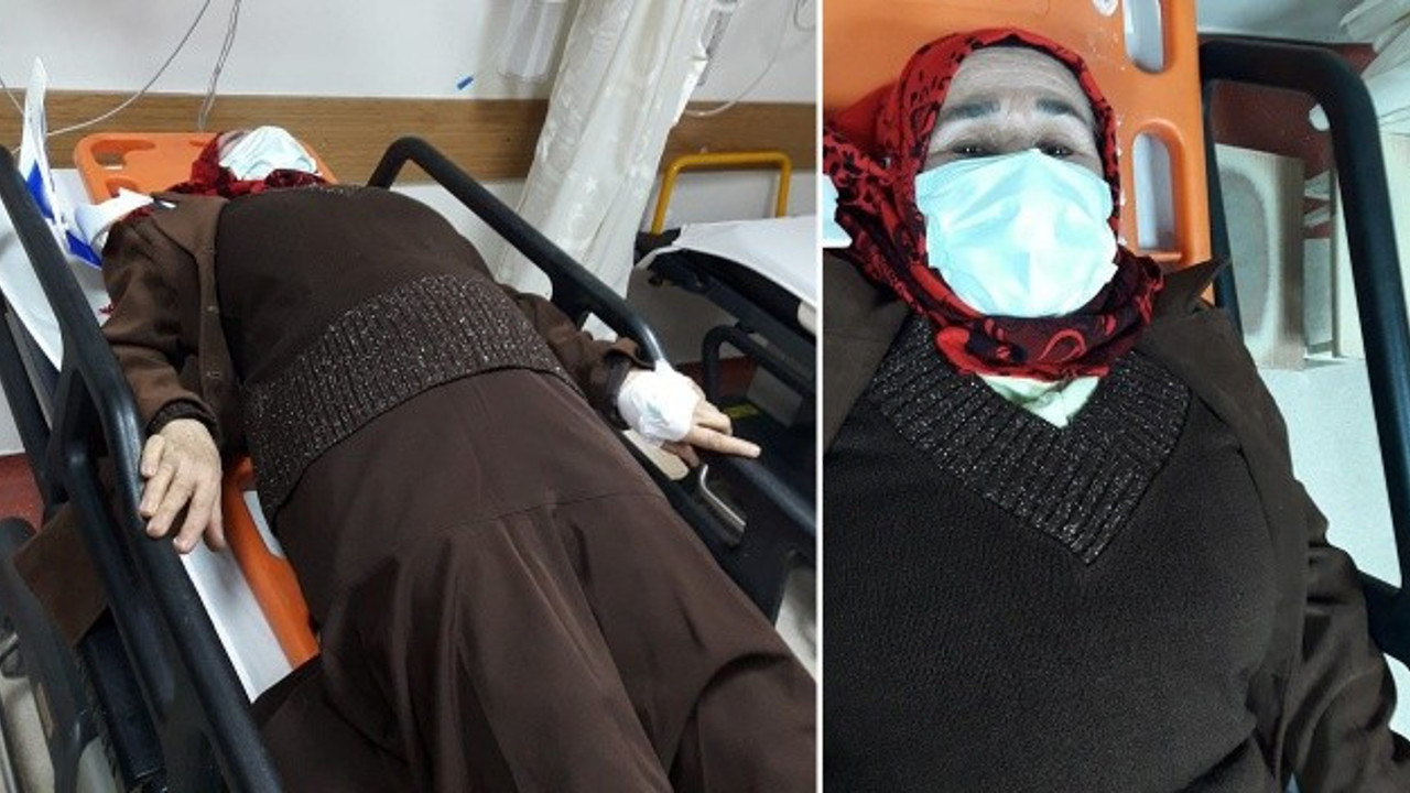 Aydın'da sokak köpekleri yaşlı kadını hastanelik etti (16 Ocak 2022)