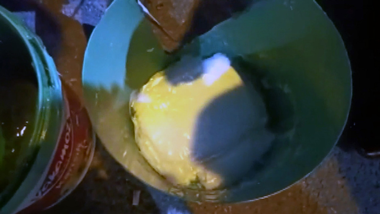 Bal kovalarındaki uyuşturucuyu 'Barbara' buldu