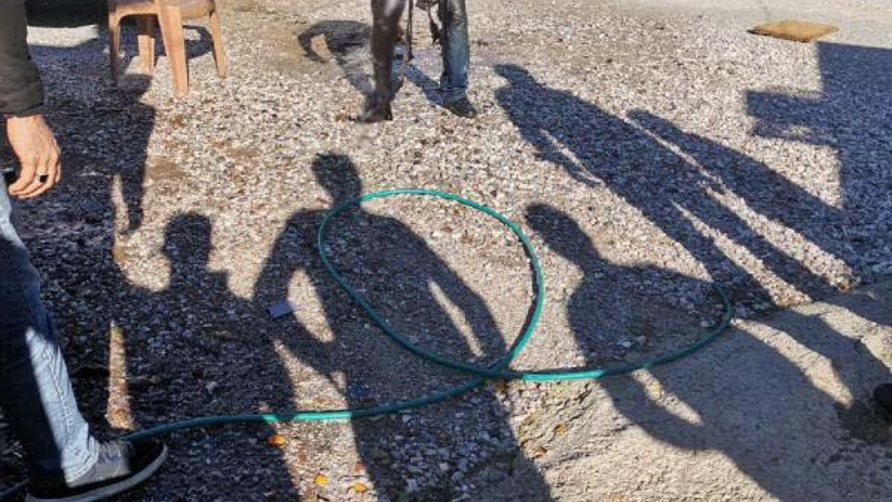 Seyyar kömürcü zabıtaya kızdı kendini yaktı