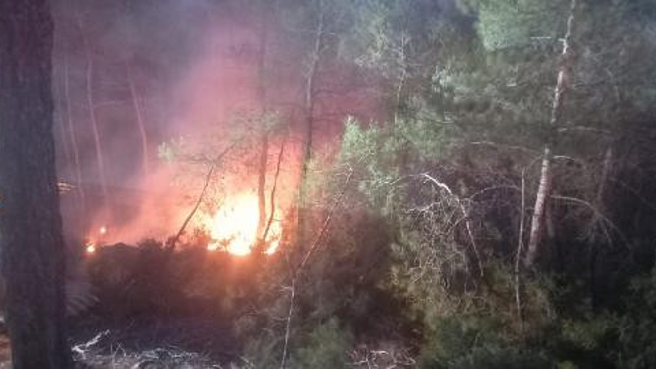 Muğla'da orman yangını (18 Ocak 2022)