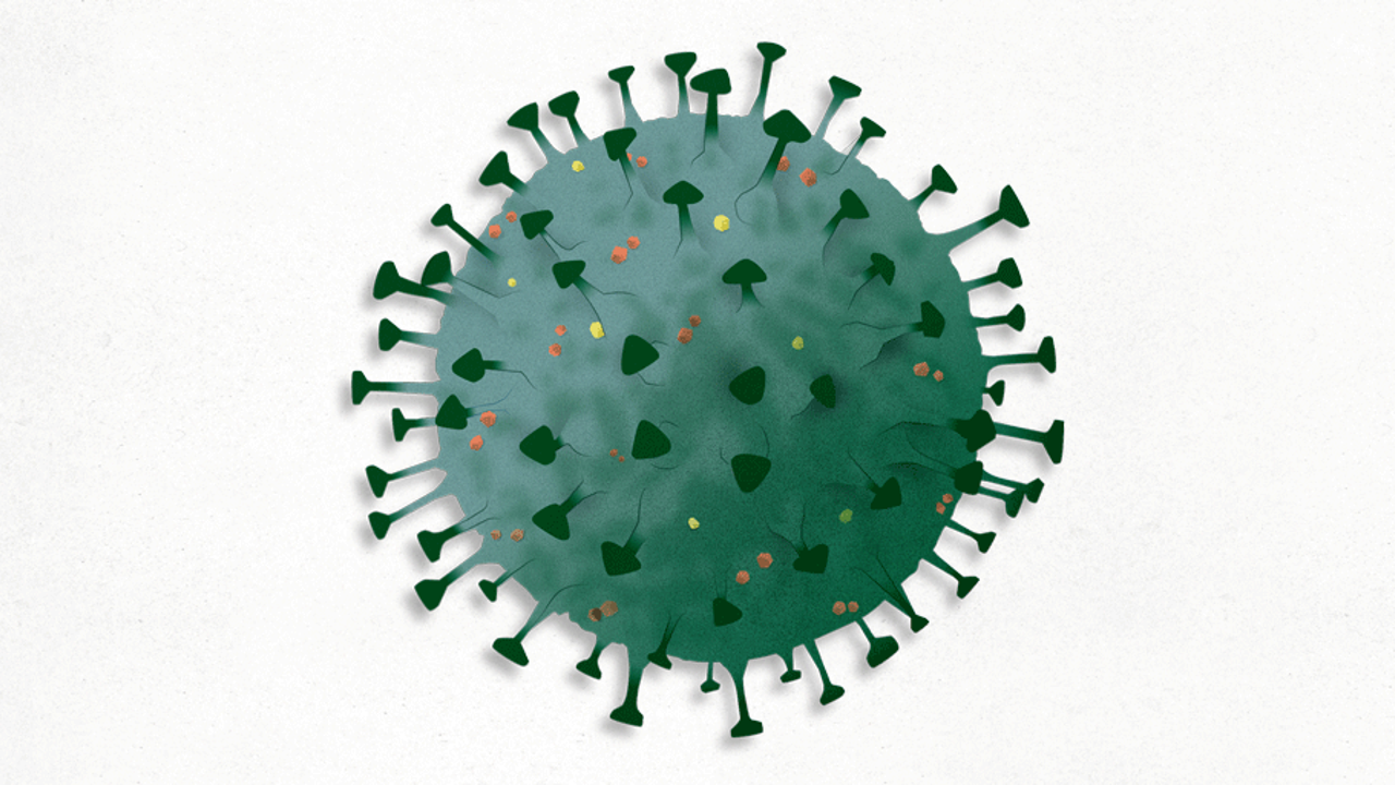 Koronadan ilk kez ülkede 1 günde 77 kişi öldü