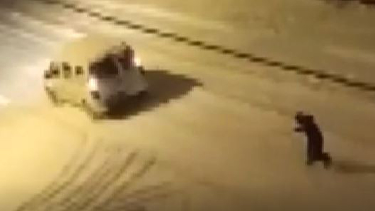 Elazığ sokaklarında snowboard keyfi