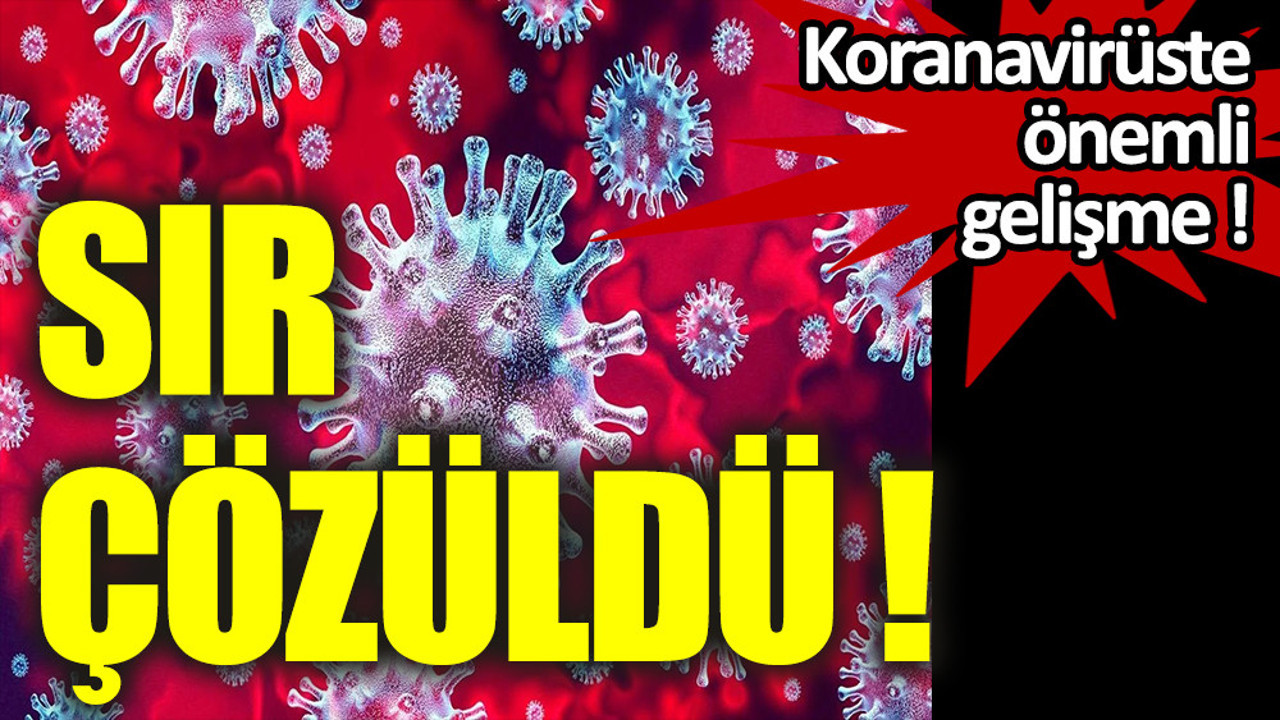 Sır çözüldü!