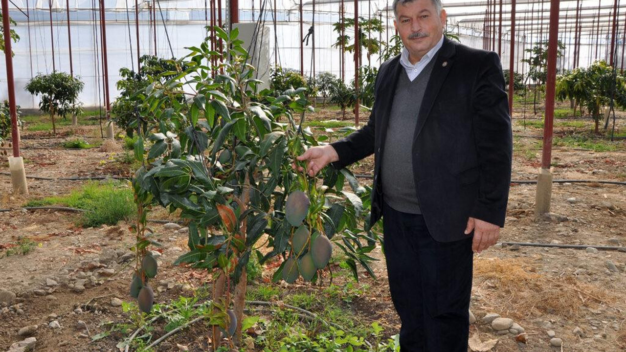 Tanesini 40 liraya satıyor yıllık kazancı 300 bin lira. 2 yılda 2 kat arttı