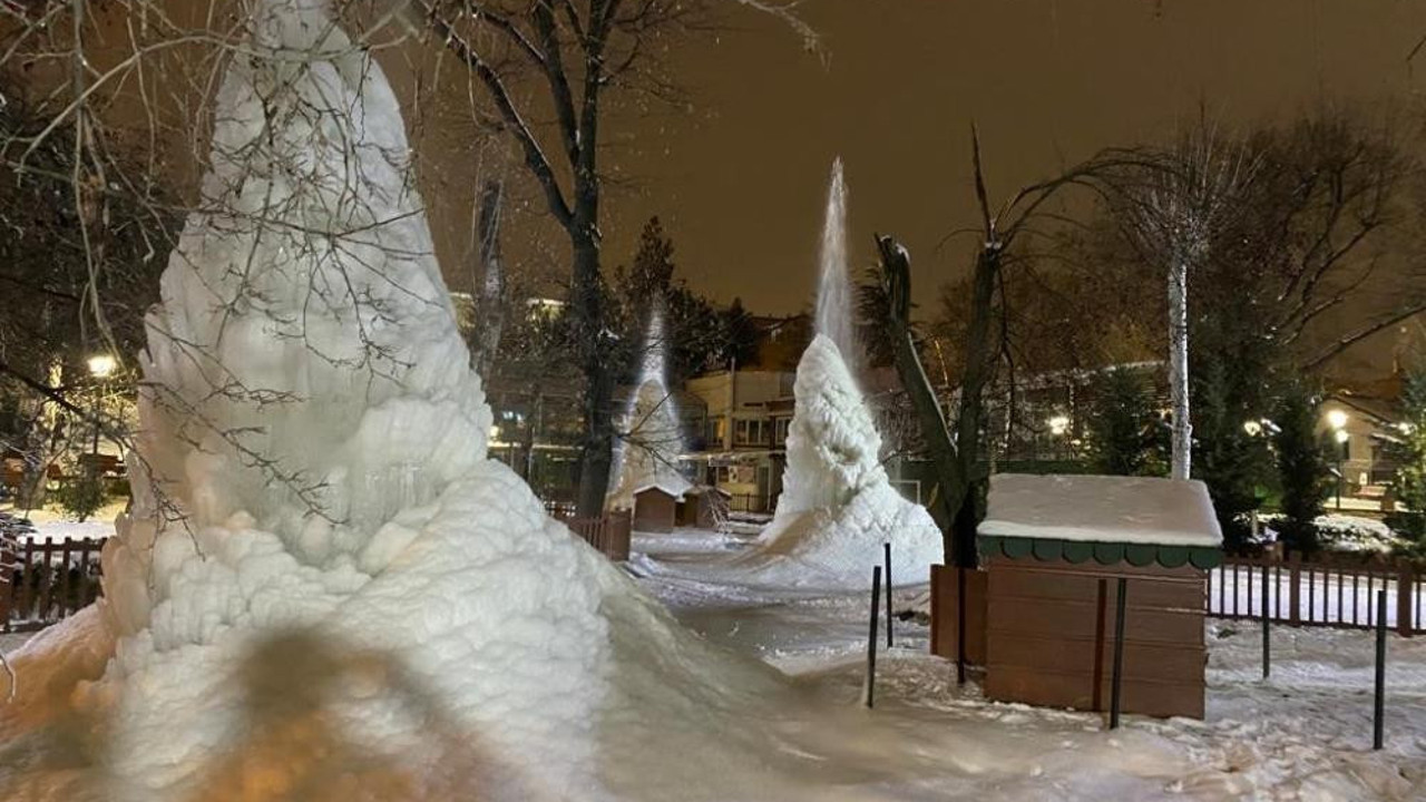 Kuğulu Park'ta şaşkına çeviren görüntü