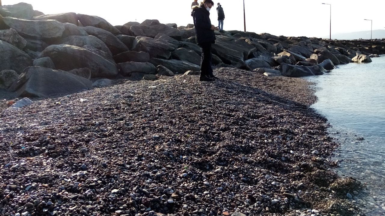 Bandırma’da 20 gün önce çekilen su eski haline gelmedi