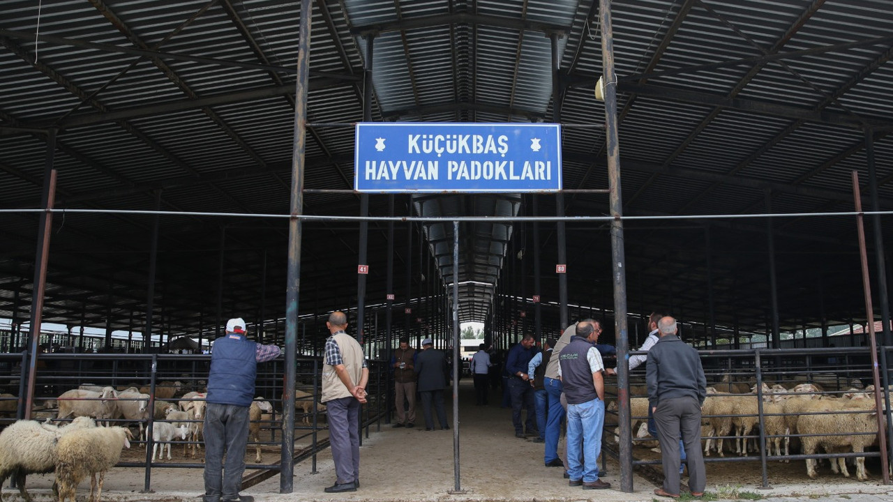 Kütahya’da hayvan pazarı küçükbaş hayvan girişlerine kapatıldı