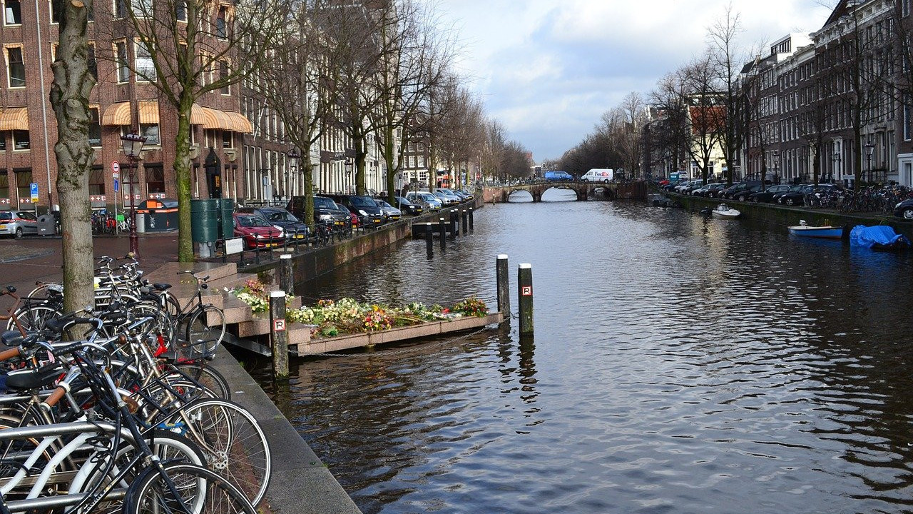 Hollanda'ya iltica başvuruları yüzde 80 arttı