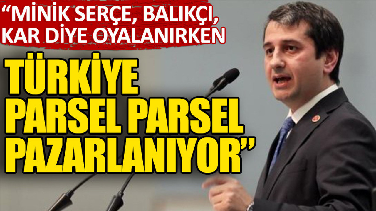 Özkan: Biz oyalanırken Türkiye parsel parsel pazarlanıyor