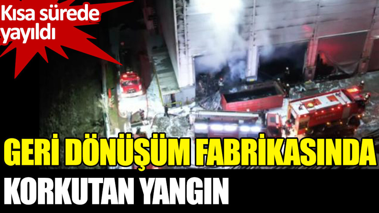 Geri dönüşüm fabrikasında korkutan yangın (01 Şubat 2022)