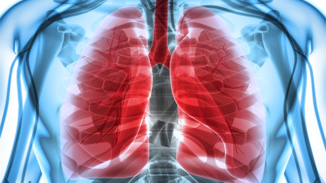 Akciğer sağlığı için 10 önemli besin