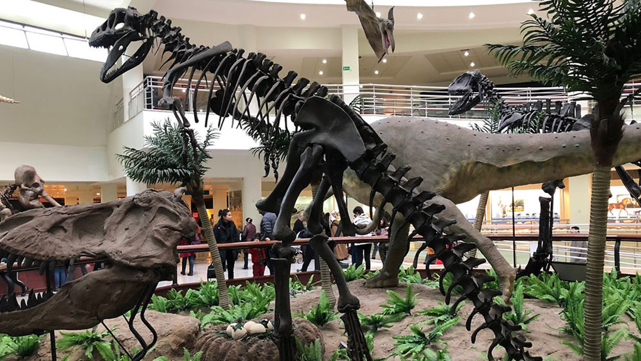 Bu müzeler bambaşka! Açılış için gün sayıyor