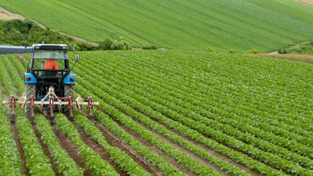 Tarımda ürün ve fiyat artışı uyarısı