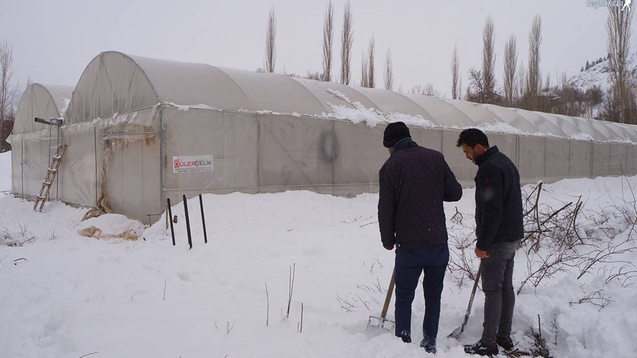 Erzurum Belediyesi açıkladı: Eksi 30 derecede yetiştirilecek