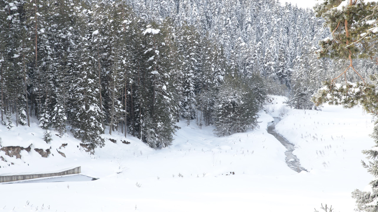 Türkiye'nin en soğuk ili Bolu oldu
