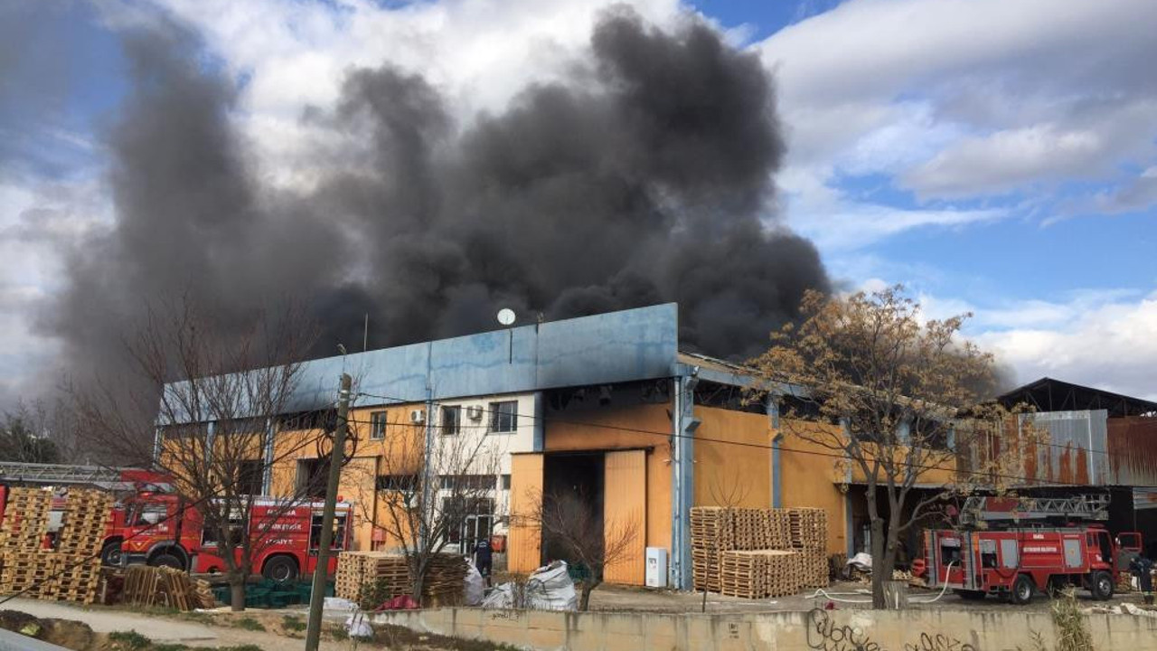 50 bin kasa kül oldu