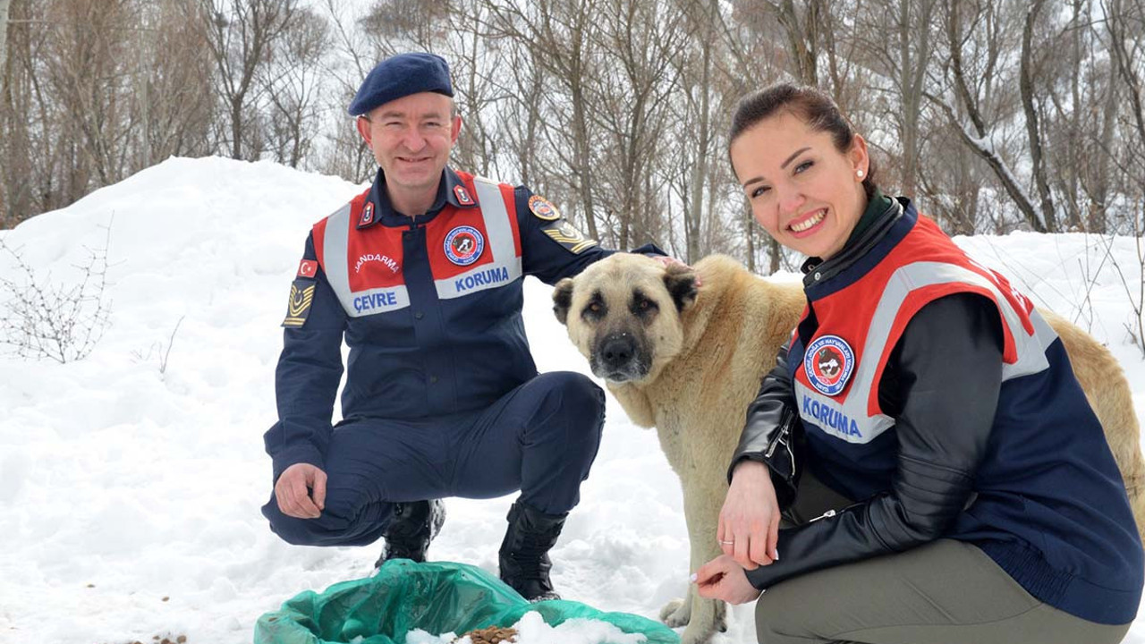 'HAYDİ' ile 31 bin 17 ihbara müdahale edildi