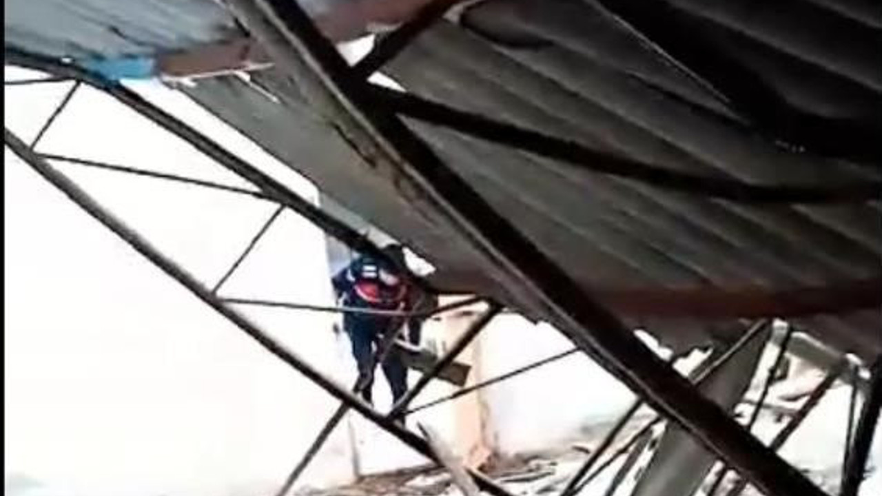 Çatı deve kuşlarının üstüne çöktü