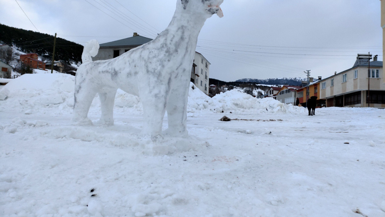 Kardan Kangal köpek yaptılar