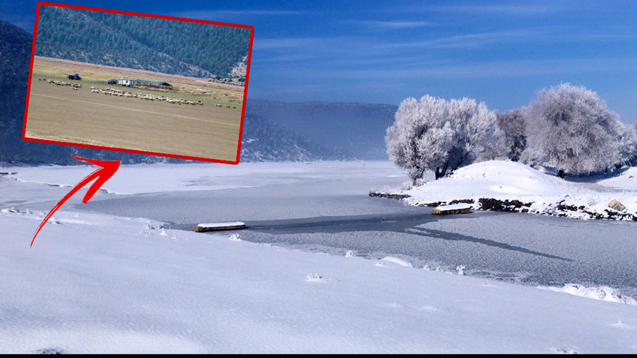 Tamamen kuruyan Avlan Gölü'nde 'su' sevinci! Tamamen kurumuş hayvanlar otluyordu…
