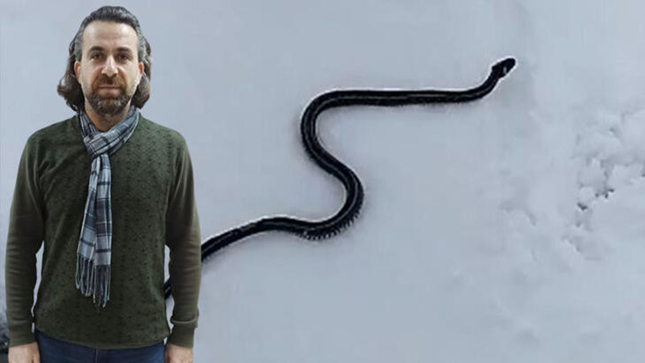 Prof. Yıldız: Yılanların kış uyku düzeni bozuldu
