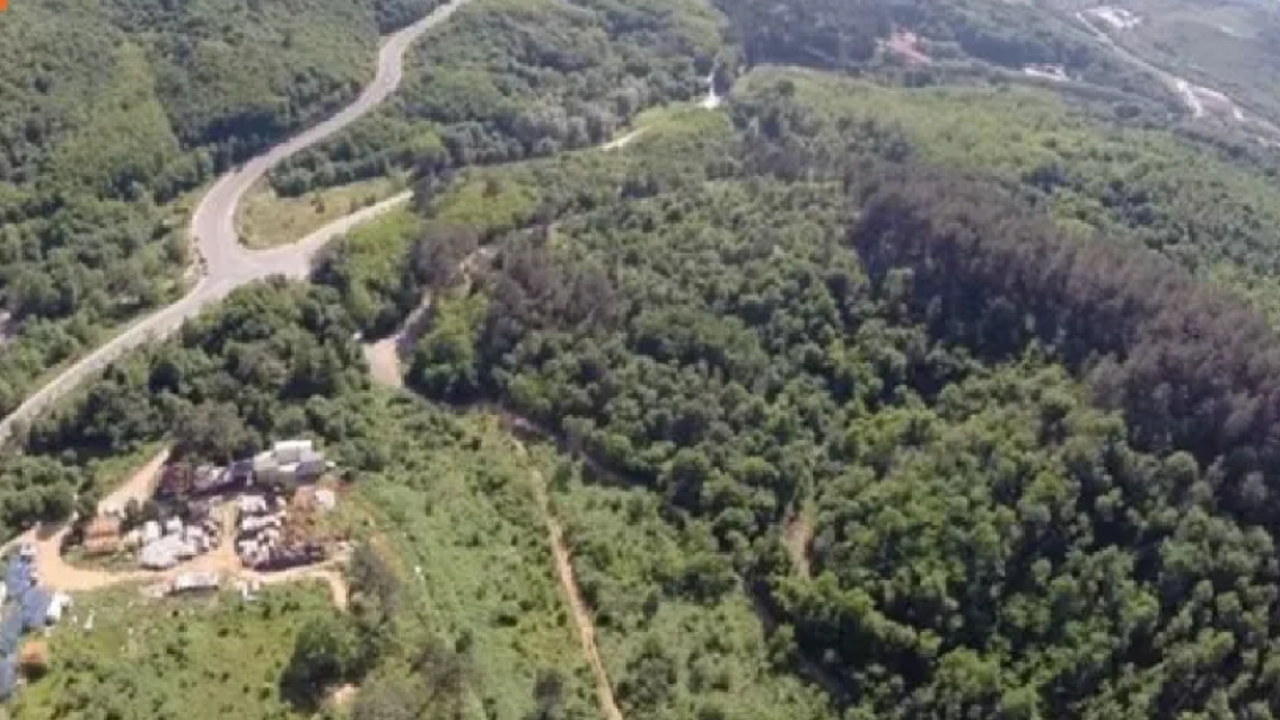 Bakanlık onay verdi yapılaşmaya açılıyor. Bir ormanlık alan daha yok oluyor