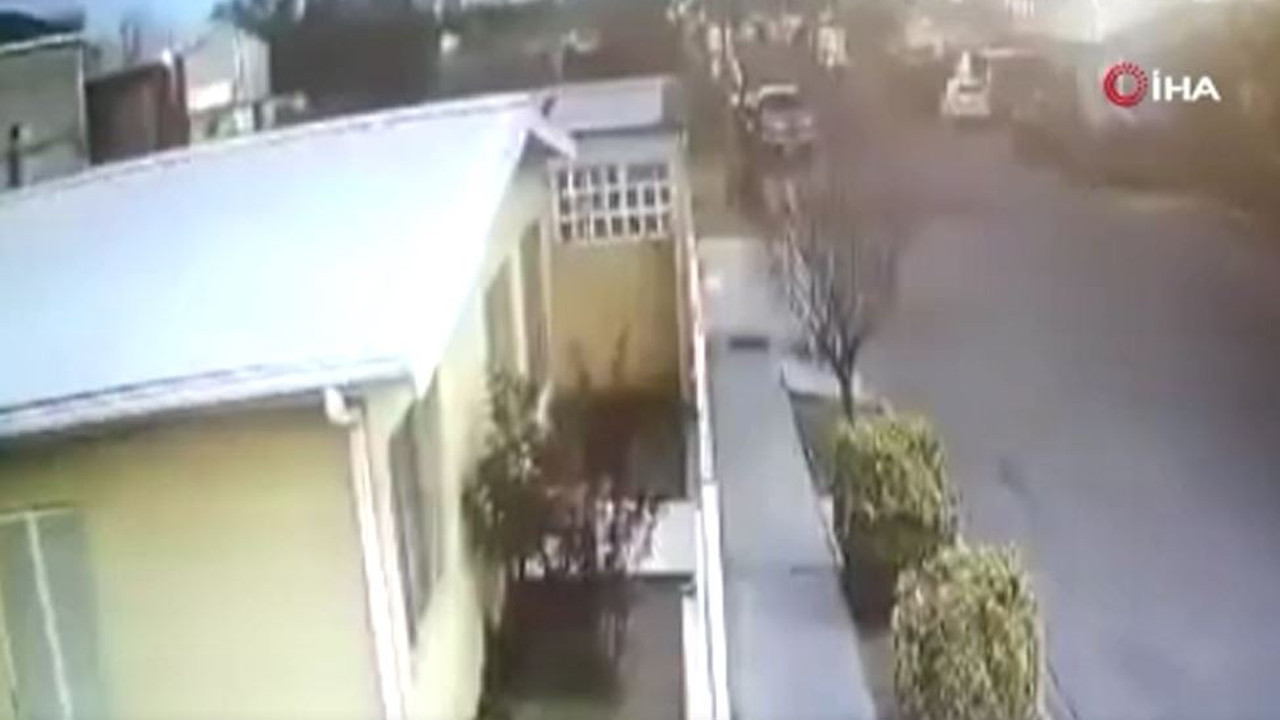 Esrarengiz olay! Binlerce kuş bir anda yere çakıldı