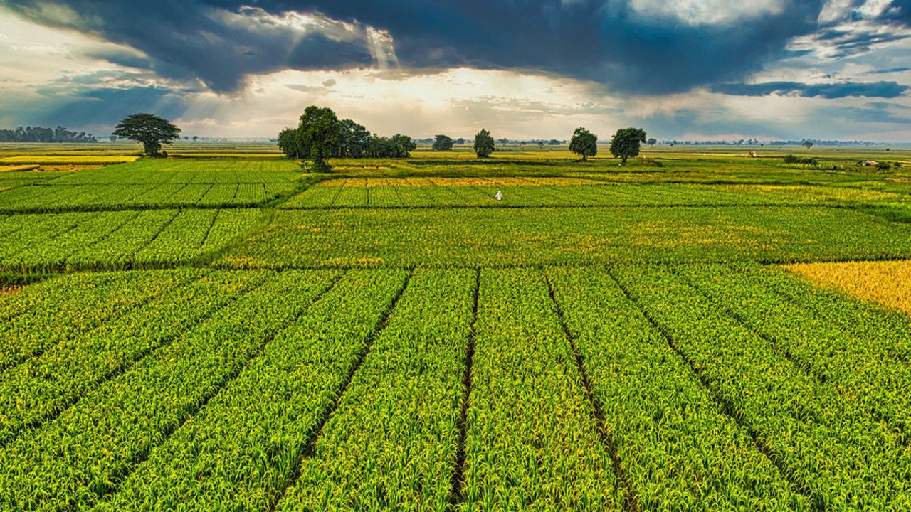 Çiftçilerin tepkisi ses getirdi! Tarım Kredi Kooperatifleri geri adım attı