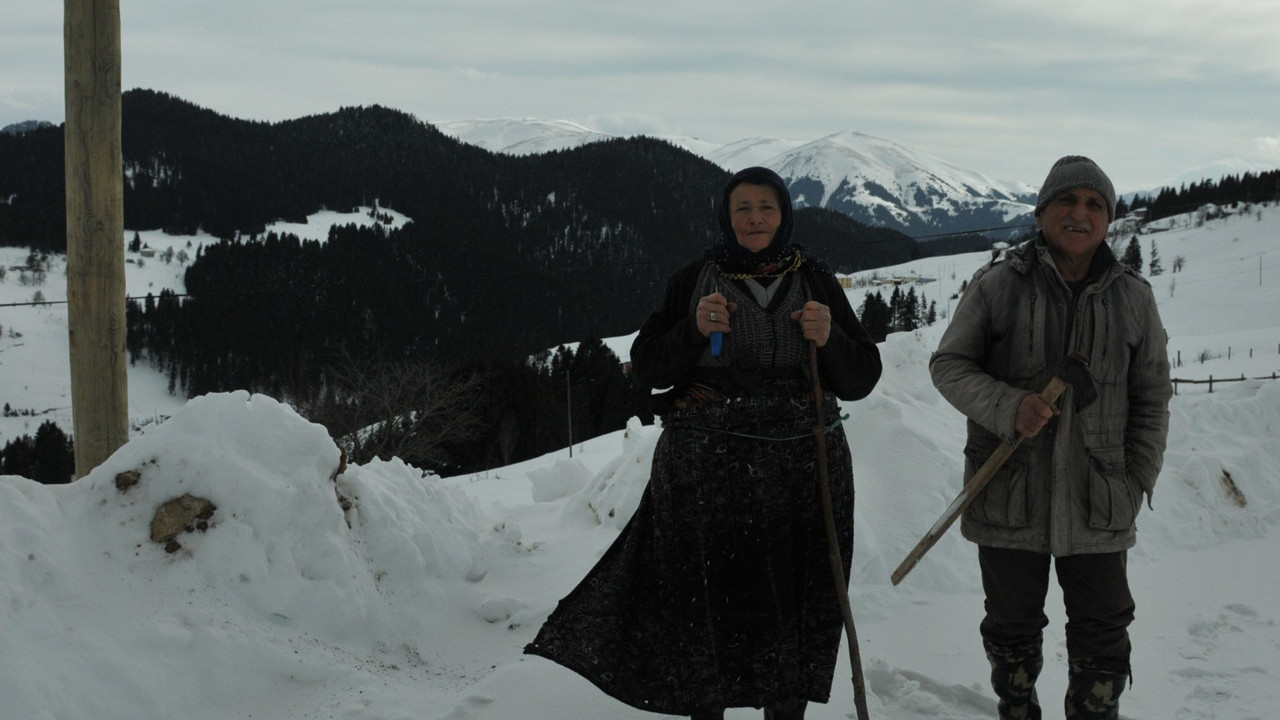 Koronavirüs ortaya çıktığından beri yayladan inmiyorlar