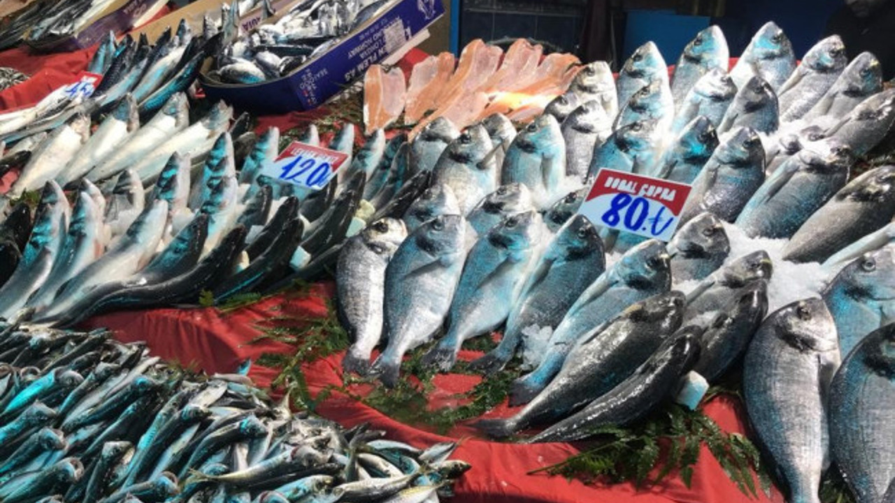 Balık sezonu açıldı ama açılmaz olaydı... Fiyatlar el yakıyor