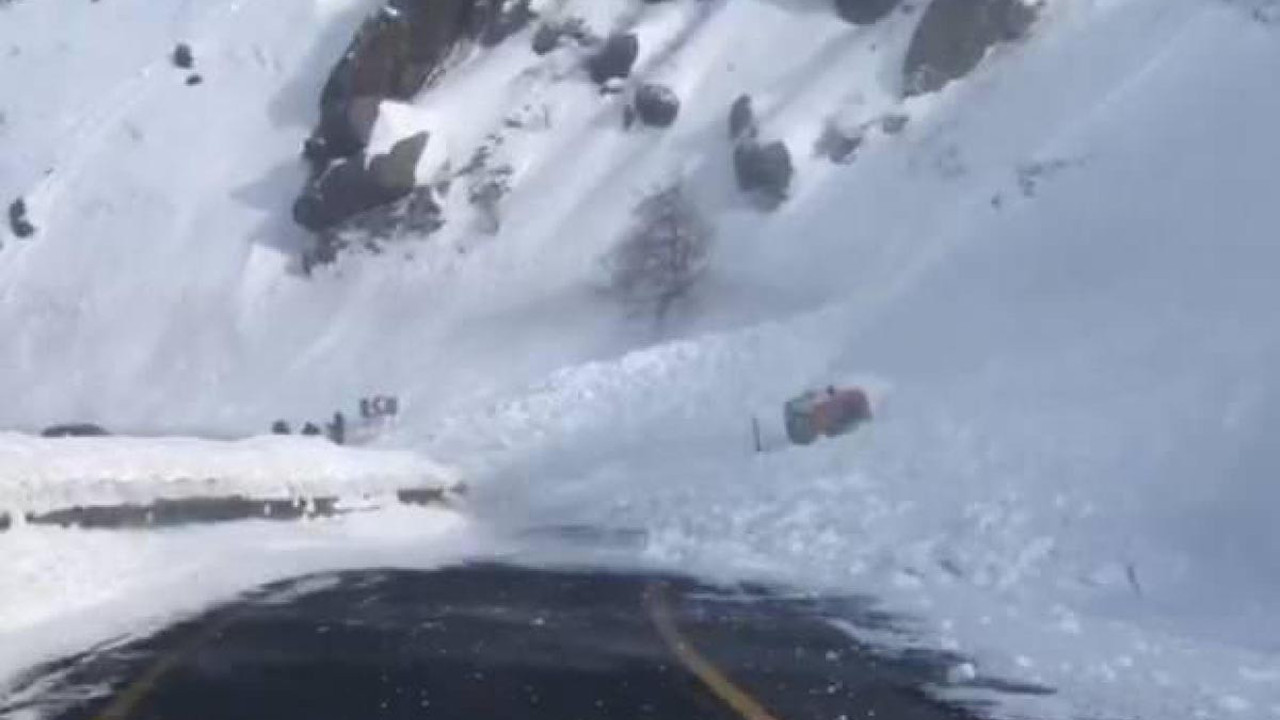 Artvin’de çığ düştü! İş makinesi kara gömüldü…