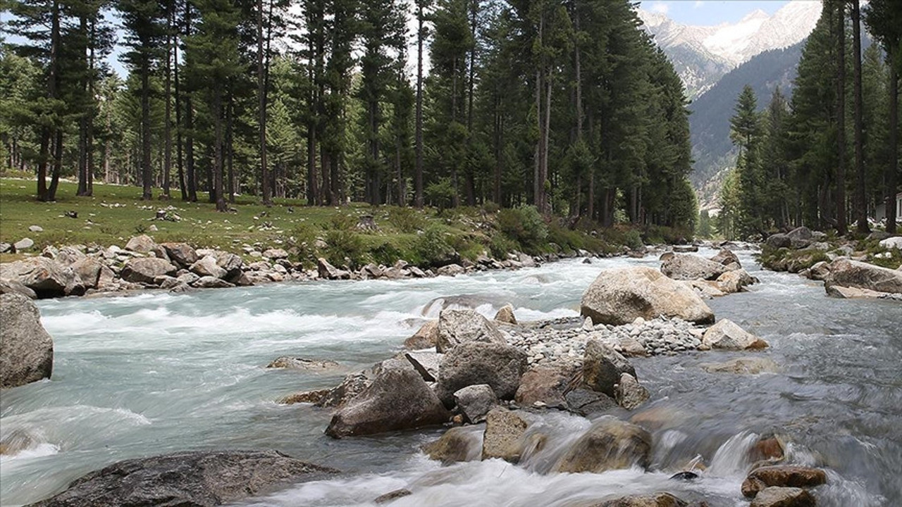 Nehirlere karışan tıbbi ürünler ve ilaçlar küresel sağlığı tehdit ediyor