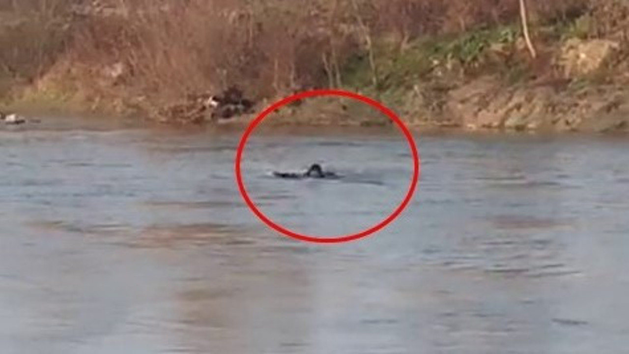 Kovalanan genç ölüme kulaç attı