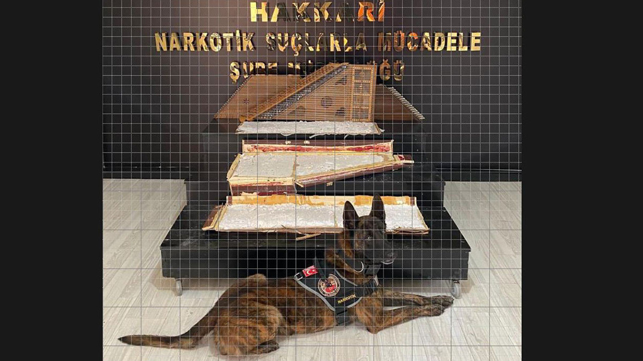 Kanun kılıfına gizlenen uyuşturucuyu ‘Ayzek’ buldu