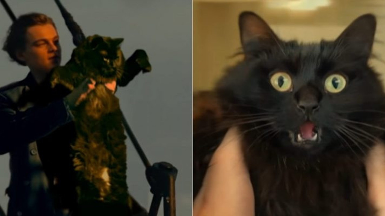 Unutulmaz film Titanik, yıllar sonra yeniden montajlandı. Üstelik başrolde ''kedi'' var