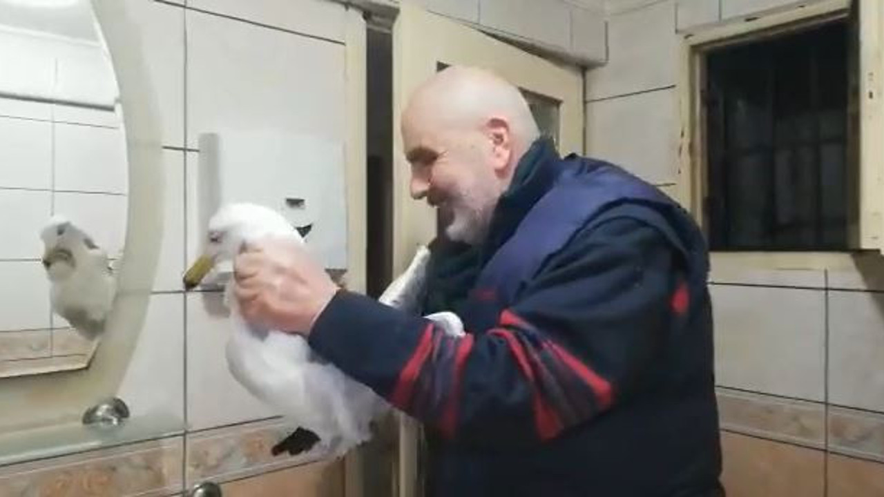 Mahsur kalan martıyı vatandaşlar kurtardı