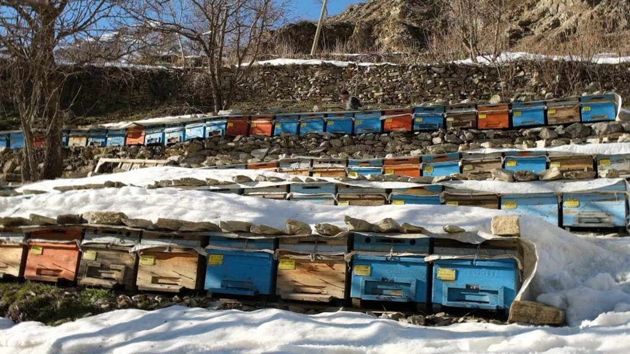 Arılar mevsimi şaşırdı vadiye akın etti