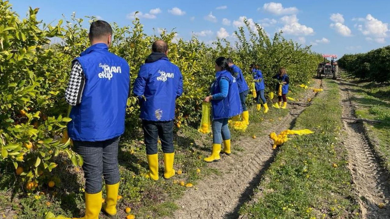 Belediyeden ücretsiz limon dağıtımı