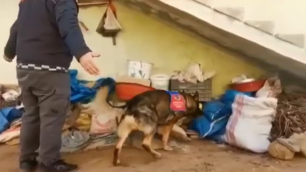 4 ilde uyuşturucu operasyonu: 27 gözaltı