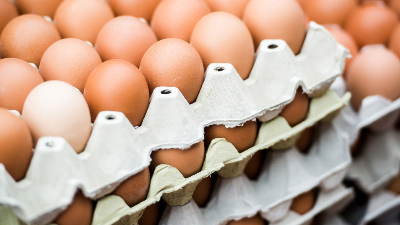 Bakanlıktan yumurta operasyonu: Şikayetlerin ardından harekete geçildi